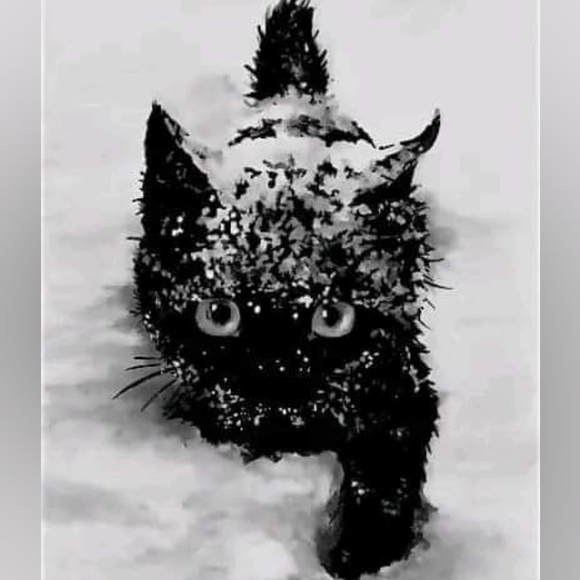 Meet your Posher, Z - Picture 2 of 4